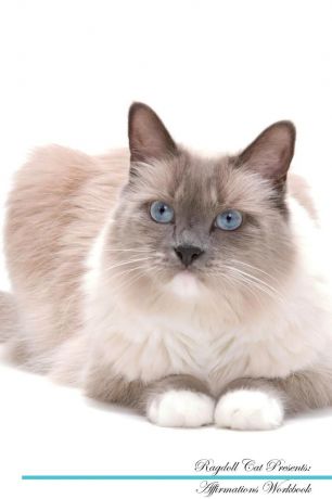 Live Positivity Ragdoll Cat Affirmations Workbook Ragdoll Cat Presents. Positive and Loving Affirmations Workbook. Includes: Mentoring Questions, Guidance, Supporting You.
