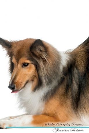 Live Positivity Shetland Sheepdog Affirmations Workbook Shetland Sheepdog Presents. Positive and Loving Affirmations Workbook. Includes: Mentoring Questions, Guidance, Supporting You.