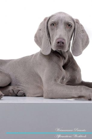 Live Positivity Weimaraner Affirmations Workbook Weimaraner Presents. Positive and Loving Affirmations Workbook. Includes: Mentoring Questions, Guidance, Supporting You.