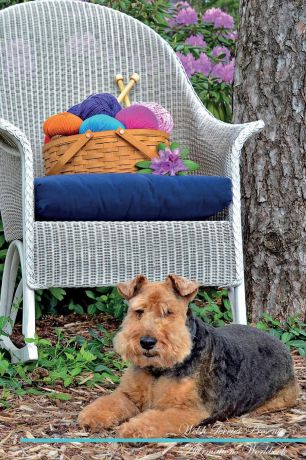 Live Positivity Welsh Terrier Affirmations Workbook Welsh Terrier Presents. Positive and Loving Affirmations Workbook. Includes: Mentoring Questions, Guidance, Supporting You.