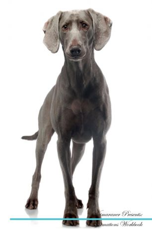 Live Positivity Weimaraner Affirmations Workbook Weimaraner Presents. Positive and Loving Affirmations Workbook. Includes: Mentoring Questions, Guidance, Supporting You.