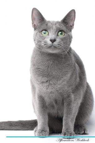 Live Positivity Russian Blue Cat Affirmations Workbook Russian Blue Cat Presents. Positive and Loving Affirmations Workbook. Includes: Mentoring Questions, Guidance, Supporting You.
