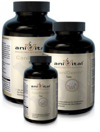 Дополнительное питание Anivital CaniDerm для здоровья кожи и шерсти собак (140 г (ок. 60 таб))