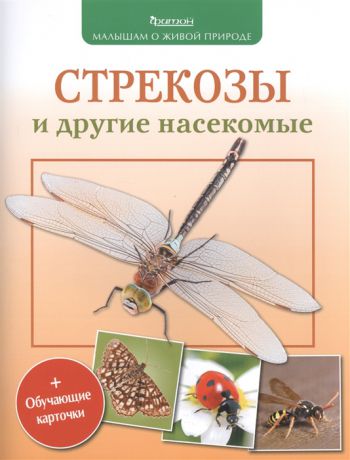 Волцит П. Стрекозы и другие насекомые