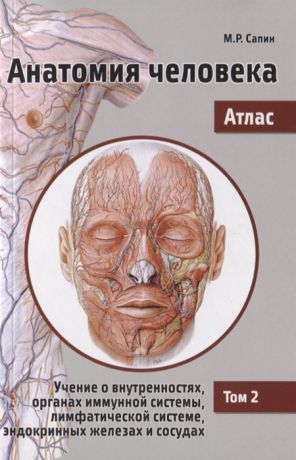 Сапин М. Анатомия человека Атлас В 3 томах Том 2 Учение о внутренностях органах имунной системы лимфатической системе эндокринных желез и сосудах