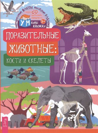 Евдокимова К. Поразительные животные кости и скелеты
