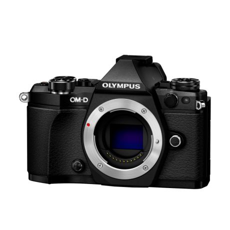 Фотоаппарат Olympus OM-D E-M5 Mark II Body черный (V207040BE000)