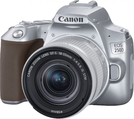 Фотоаппарат Canon EOS 250D KIT Silver зеркальный, 24.1Mp, EF18-55 IS STM, 3", 4K, WiFi, ISO25600, SDHC/XC