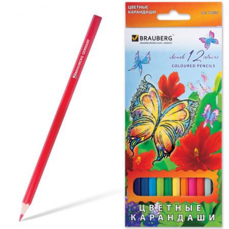 Набор цветных карандашей BRAUBERG "Wonderful butterfly" 12 шт 176 мм
