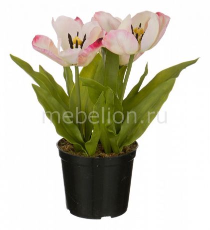 Растение в горшке АРТИ-М (29 см) Тюльпан 654-197