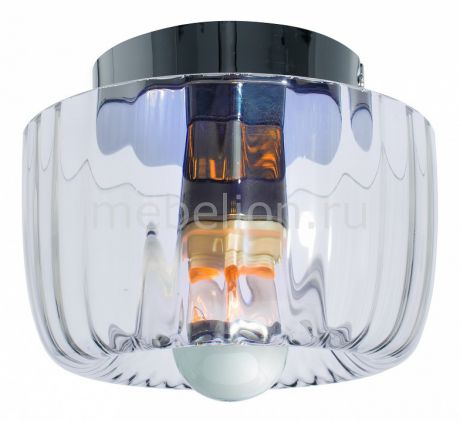 Накладной светильник Arte Lamp Interior A2812PL-1CC