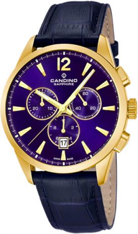 Мужские часы Candino C4518_F