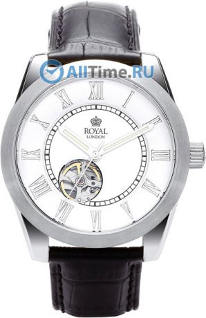 Мужские часы Royal London RL-41153-01