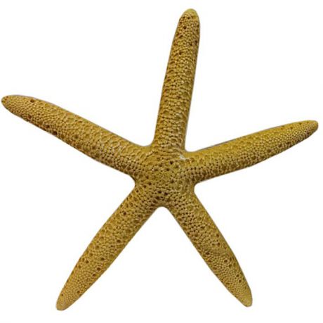 Декорация для аквариумов MEIJING AQUARIUM Морская звезда желтая