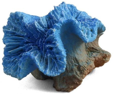 Коралл Hagen Laguna Каталофиллия голубая искусственный для аквариума (80 х 70 х 70 мм)