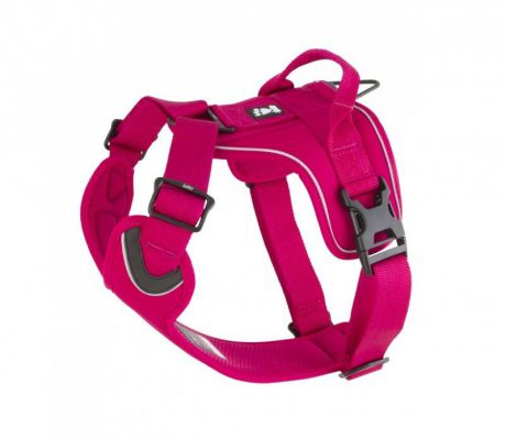 Шлейка Active Harness для собак (100 - 120 см, Сине-зеленый)