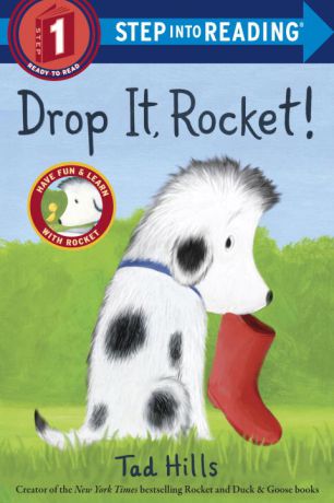 Drop It, Rocket!: Step 1