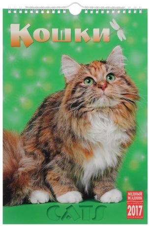 Календарь 2017 (на спирали). Кошки / Cats