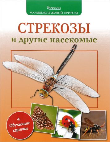 П. М. Волцит Стрекозы и другие насекомые