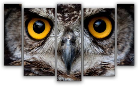 Картина модульная Картиномания "Взгляд совы", 90 х 57 см, Дерево, Холст