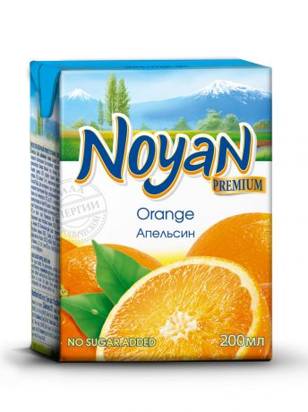 Сок апельсиновый Noyan Premium, 200 мл