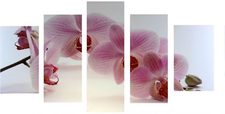 Картина Художественная мастерская Палитра "Нежность лепестков орхидеи", модульная, 1165957, 72 х 125 см