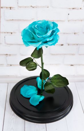 Роза в Колбе 5. Высота 33 см, диаметр 20 см, цвет Тиффани