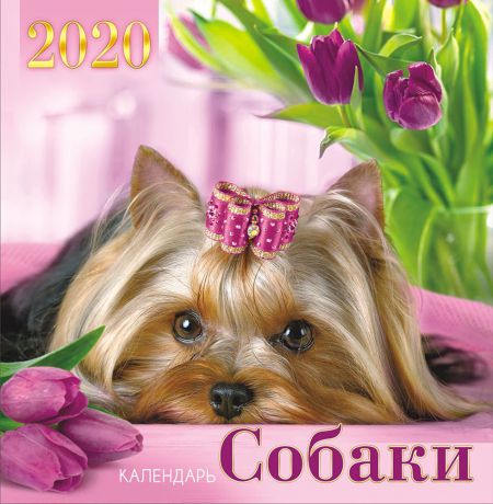 Календарь перекидной средний на скрепке на 2020 год, Собаки ПК-20-041