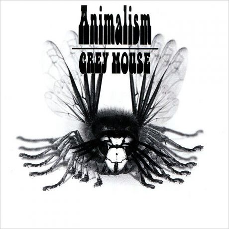 GREY MOUSE Animalism