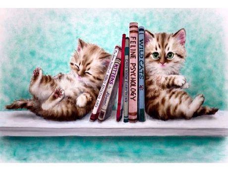 Алмазная мозаика Алмазное Хобби "Котята и книги", 40x60 см
