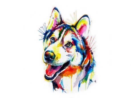Алмазная мозаика ТМ Цветной "Разноцветный щенок", 40x50 см