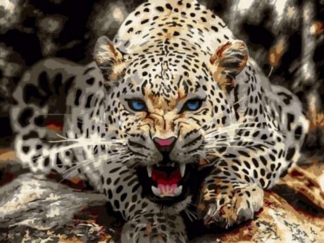 Картина по номерам Цветной "Леопард перед броском" 30х40см