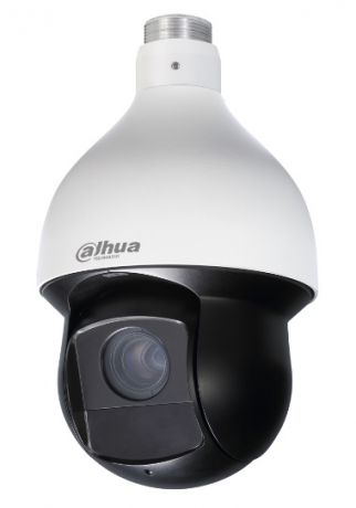IP камера Dahua Видеокамера IP DH-SD49225T-HN-S2, белый