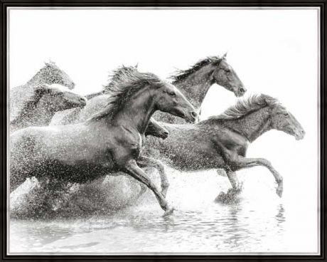 Картина в багете 50x40 см "Кони бегущие по воде" Экорамка BE-103-317