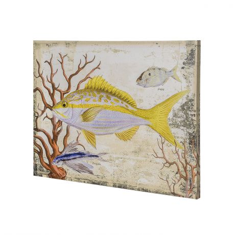Постер на раме Рыба, морской стиль, 40х50 см