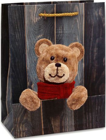 Пакет подарочный Dream Cards "Симпатичный медвежонок", разноцветный, 23 х 18 х 10 см