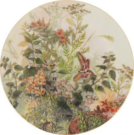 Декоративная тарелка Thun 1794 a.s. "Бабочка", БТФ0632, белый, диаметр 19 см