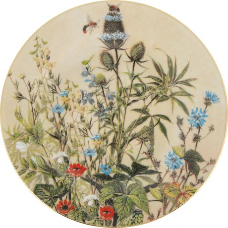 Декоративная тарелка Thun 1794 a.s. "Чертополох", БТФ0623, белый, диаметр 19 см