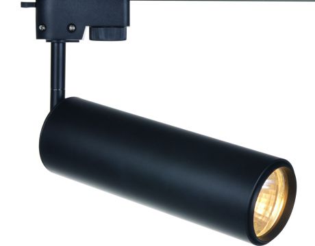 Настенно-потолочный светильник Arte Lamp A1412PL-1BK, LED, 12 Вт