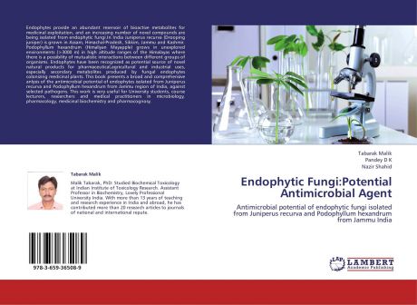 Tabarak Malik,Pandey D K and Nazir Shahid Endophytic Fungi:Potential Antimicrobial Agent