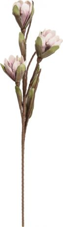 Цветок из фоамирана Вещицы "Магнолия весенняя", aj - 20, 100 см