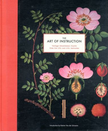 The Art of Instruction: Vintage Educational Charts from the 19th and 20th Centuries
