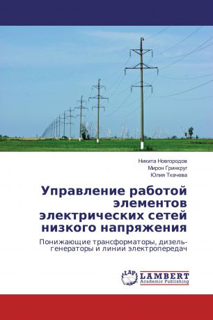 Никита Новгородов,Мирон Гринкруг, Юлия Ткачева Управление работой элементов электрических сетей низкого напряжения