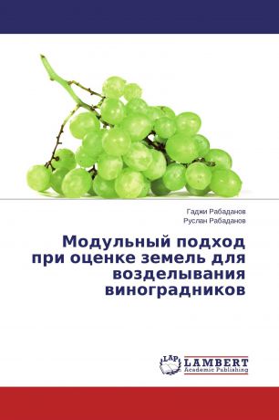 Гаджи Рабаданов, Руслан Рабаданов Модульный подход при оценке земель для возделывания виноградников