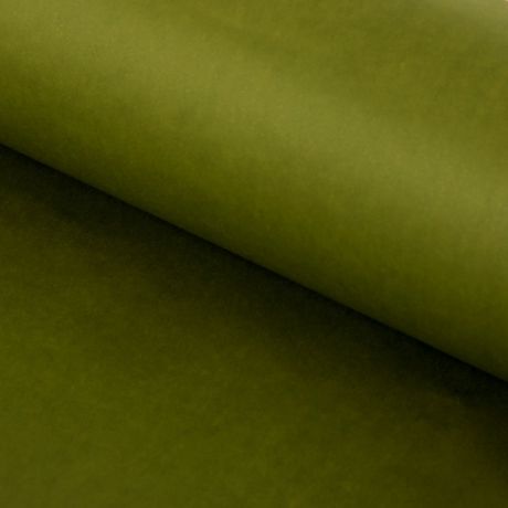 Набор бумаги тишью Cartotecnica Rossi, 1398078, оливковый, 50 х 76 см, 24 листа