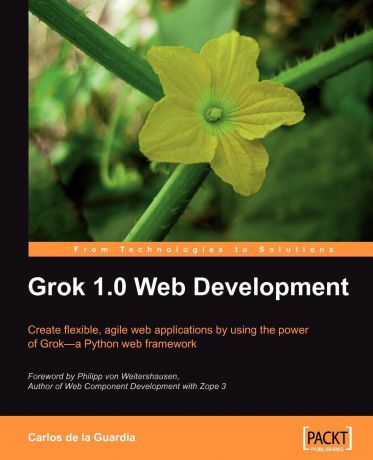 Carlos Guardia Grok 1.0 Web Development