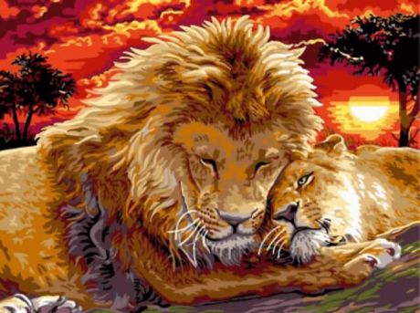 Набор для рисования по номерам Цветной "Львы на закате", 30 x 40 см