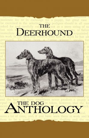 Various The Deerhound - A Dog Anthology (A Vintage Dog Books Breed Classic)