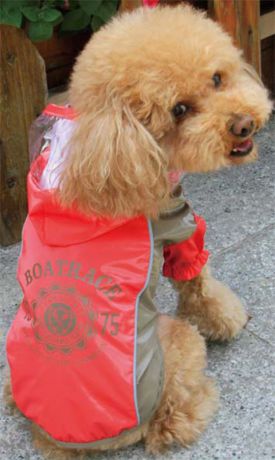 Куртка для собак Dobaz "Boatrace", цвет: красный. ДА13079А2ХЛ. Размер 2XL