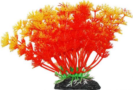 Растение для аквариума Уют "амбулия оранжевая", высота 11 см